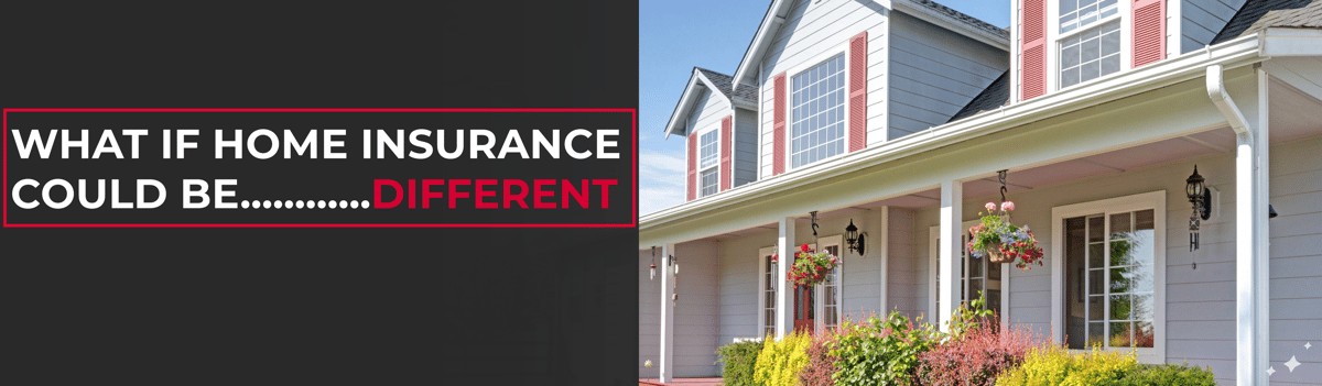 Banners 2 19 25 (13)-15-1